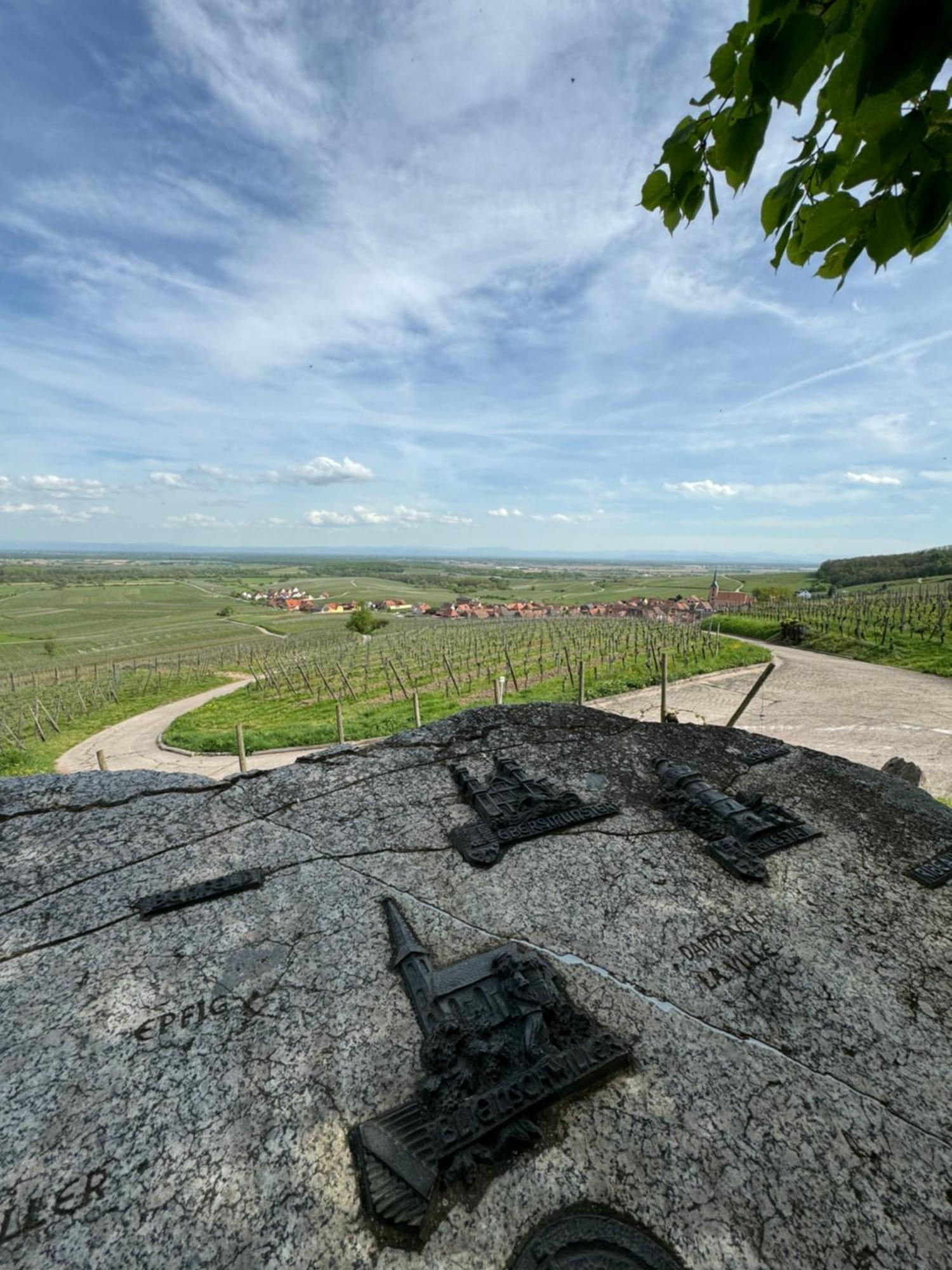 La Terasse Des Vignes - Maison 2 Chambres - 4 Personnes Blienschwiller Esterno foto